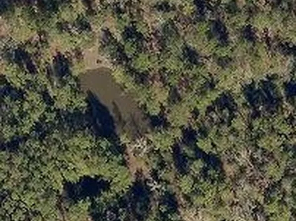 3634 Luthe Rd, Bedias, TX 77831