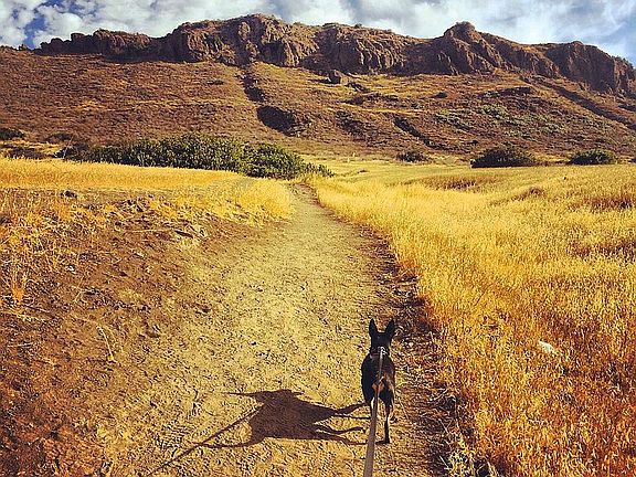 Wildwood Park Trails
