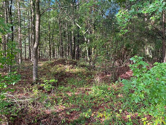 4th image of 0 Mount Shoals Rd