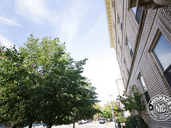 5th image of 340 Sterling Pl APT 4W