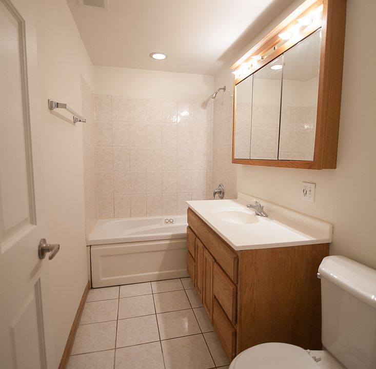 Lower Level Bathroom