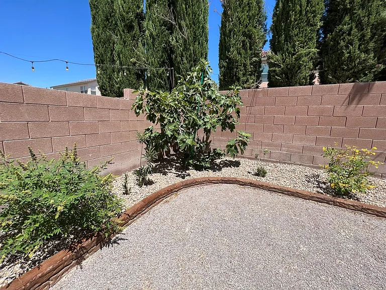 5604 Rocky Ravine Ave — Photo 45