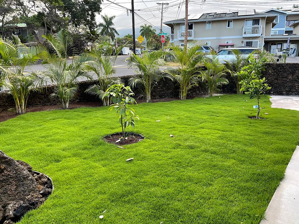 Shared yard space
