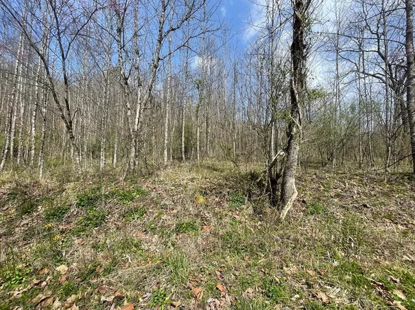 165 Joe Br, Grayson, KY 41143