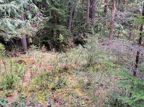 410 N Mount Seattle Way, Hoodsport, WA 98548