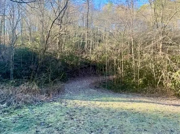 0 Poison Br, Robbinsville, NC 28771