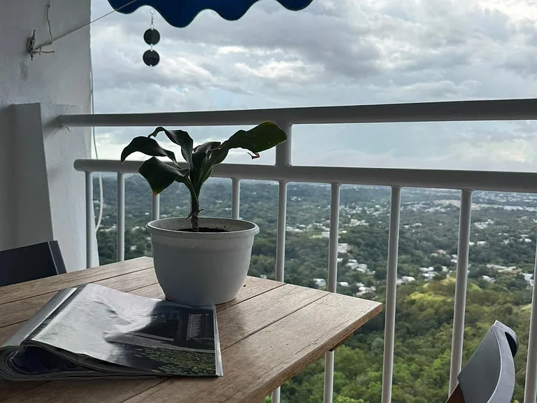 349 Cond Solimar #A — Photo 36