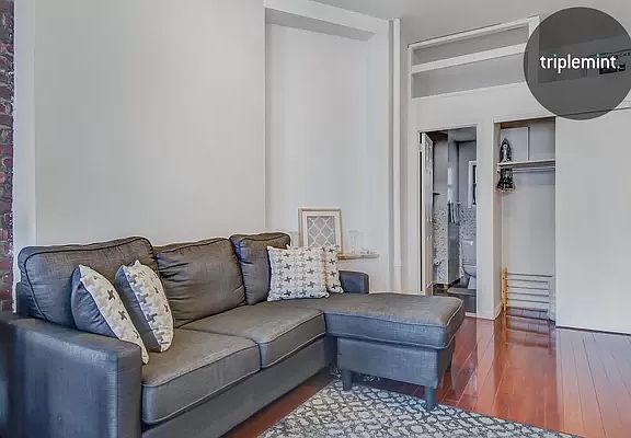3rd image of 262 W 22nd St APT 12
