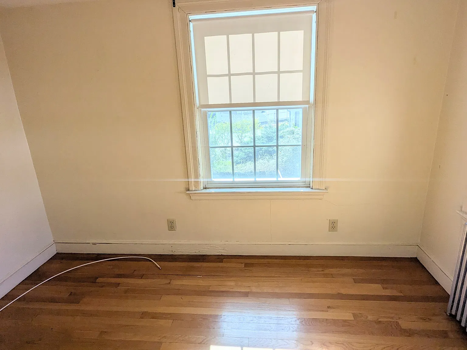 1 bed, $1,900 — Photo 3
