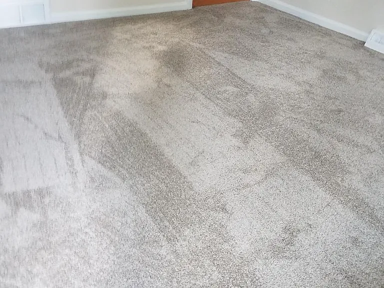 New carpet installed.