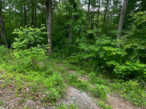 Legend Ln, Caryville, TN 37714