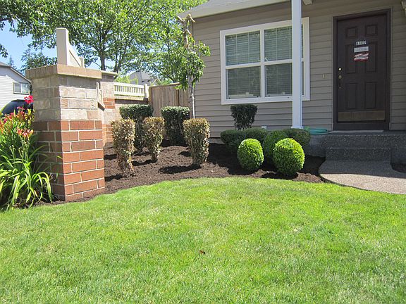 Front yard landscaping 2