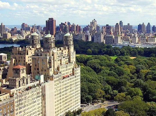 Sold by Carol E Levy | media 13