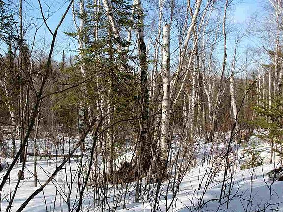5th image of 640 Wildridge Estates