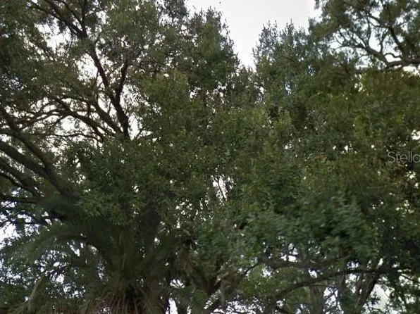 (undisclosed Address), Orlando, FL 32824