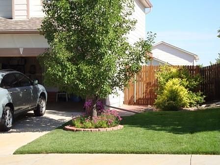 Front of house - Summer 2008