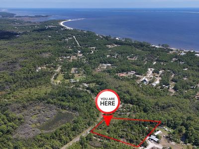 262 Frank McKamey Way, Carrabelle, FL, 32322
