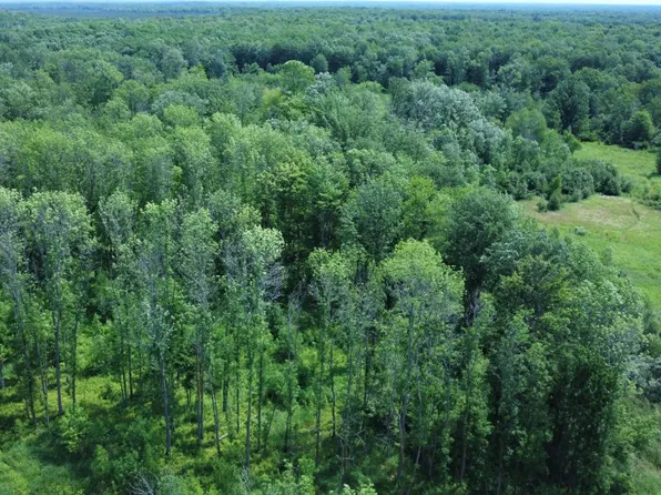 000 Cth W, Holcombe, WI 54745