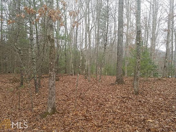 5th image of Tract E Lilac Ln