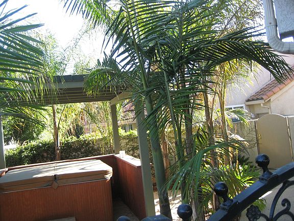 5th image of 1047 Corte Paloma