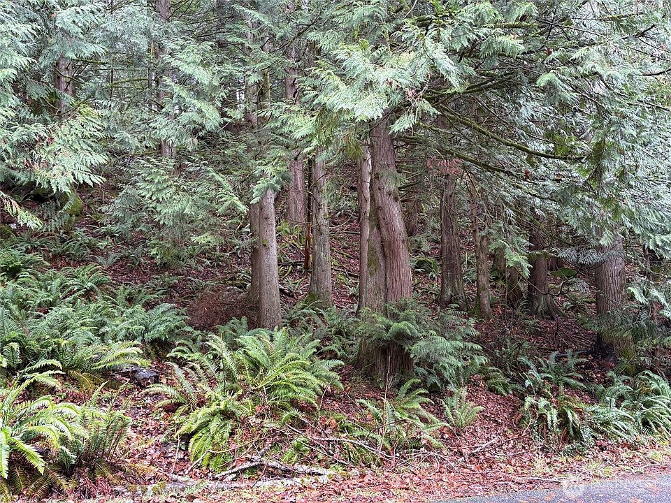 2nd image of 52 High Cliff Lane