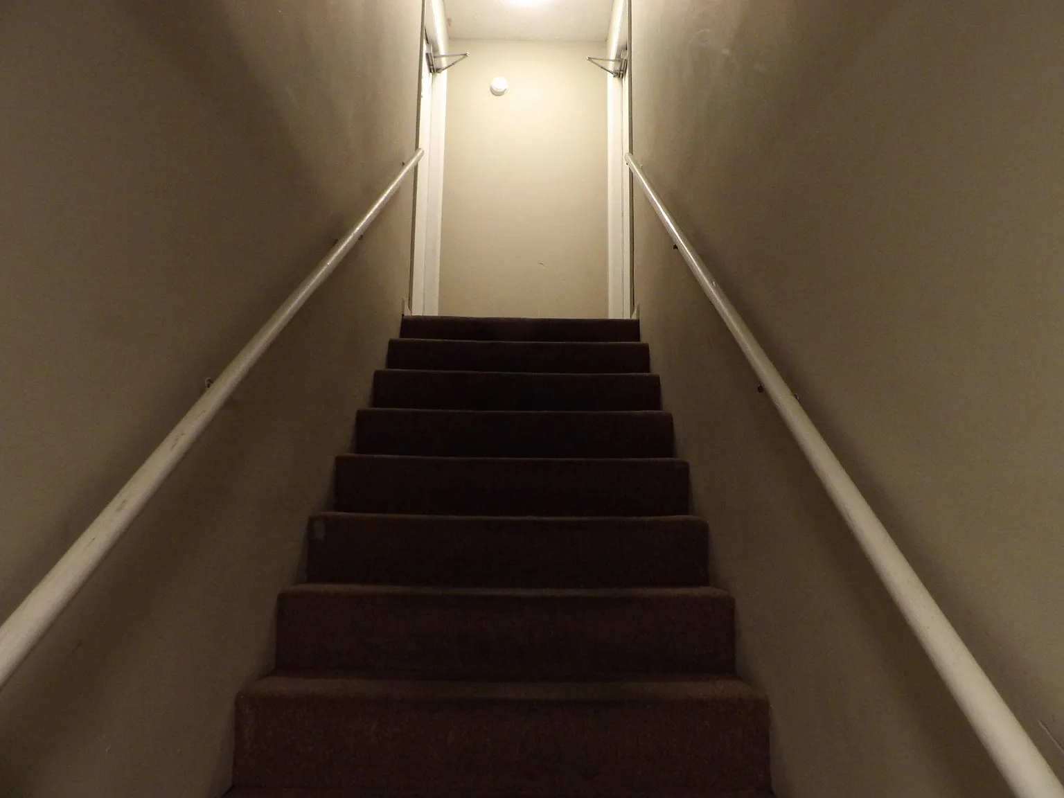 2 bed, 1.0 bath, 975 sqft, $1,025 — Photo 3