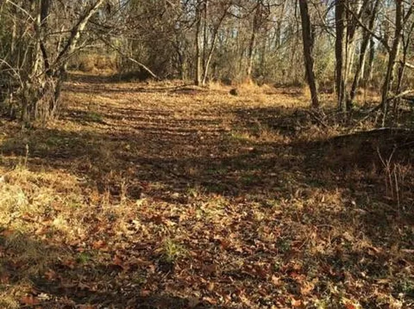 301 Butchers Ln, Weston, WV 26452