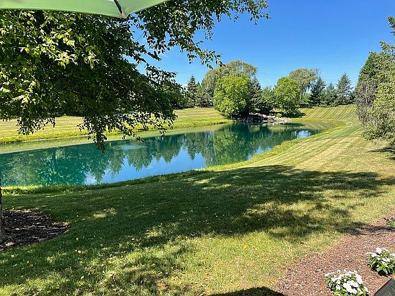 Community Pond