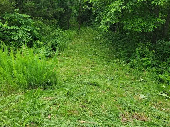 436 Lower Hollow Ln, Augusta, MO 63332