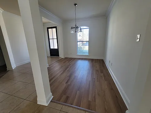 300 Spanish Moss Ln Photo 1