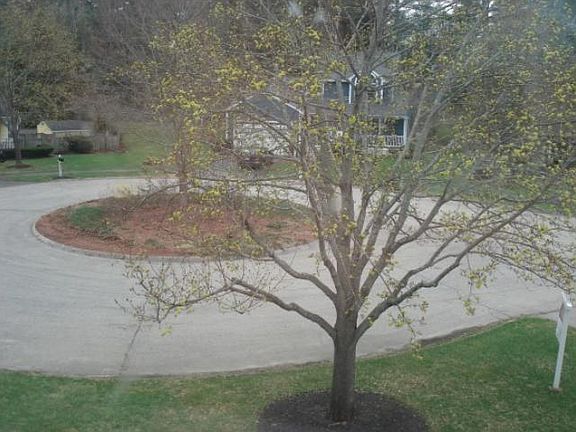 4th image of 12 Southfield Dr