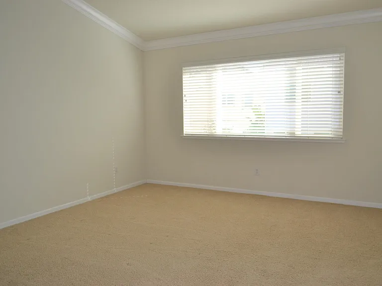 1336 Tiffany Dr — Photo 13