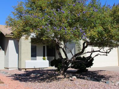 14184 W Columbus Ave, Goodyear, AZ, 85395