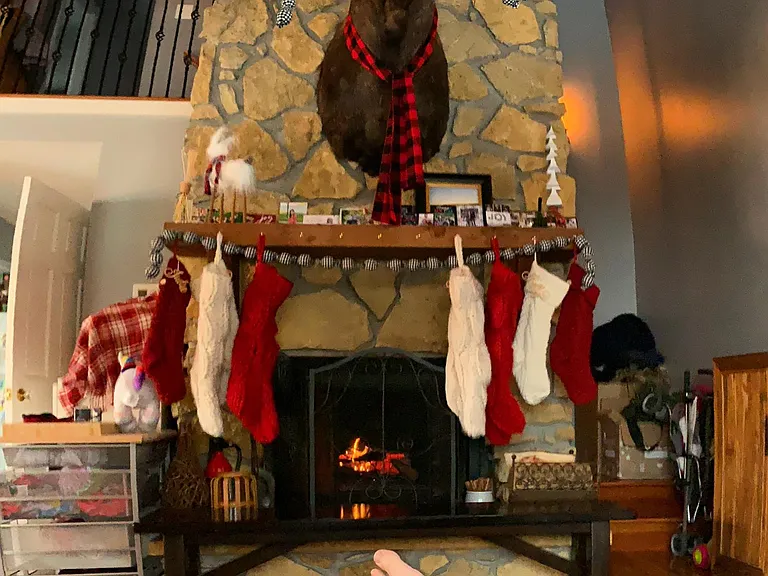 Gary the Moose dressed up for the holidays