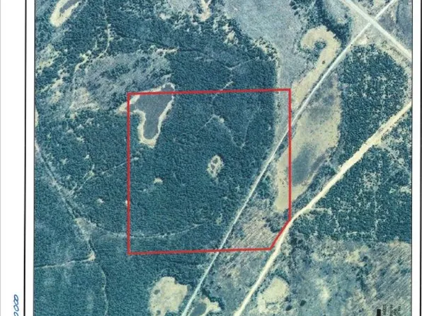 On Pig Snout Ln, Crandon, WI 54520