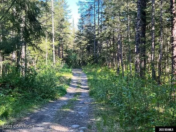 3 Excursion Inlt S #D, Gustavus, AK 99826