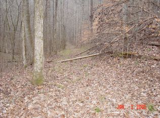 1961 Old Chilhowee Rd, Seymour, TN 37865