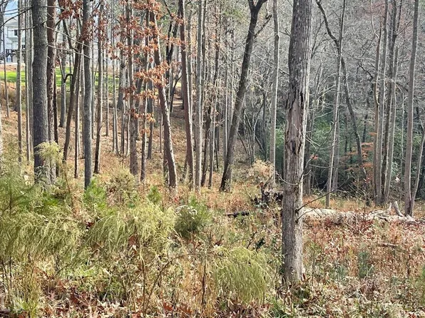 166 Highland Frg, Blairsville, GA 30512