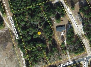 0 Wildcat Rd, Ivanhoe, NC 28447