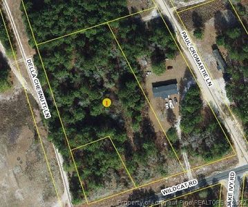 0 Wildcat Rd, Ivanhoe, NC, 28447