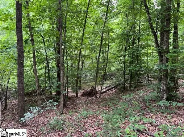 0 Chisholm Trl, Rutherfordton, NC 28139