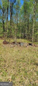 304 River Lake Dr, Eatonton, GA, 31024