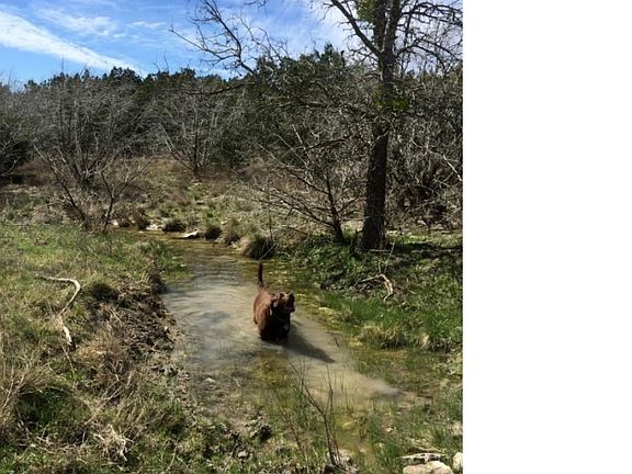 4th image of 146 Tbd County Rd