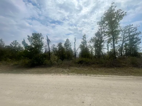 0 E Royal Oak Dr, Perry, FL 32348