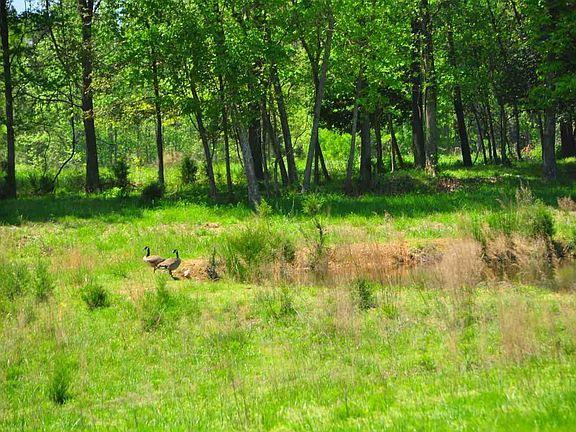 4th image of 8 Harts Creek Dr Lot 8