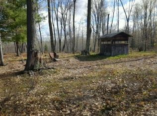 Fruchey Ranch Road 40 Acres, Hubbard Lake, MI 49747