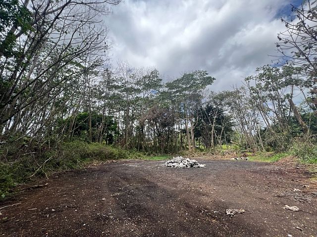 1st image of 15-1974 23rd Ave Lot 1123