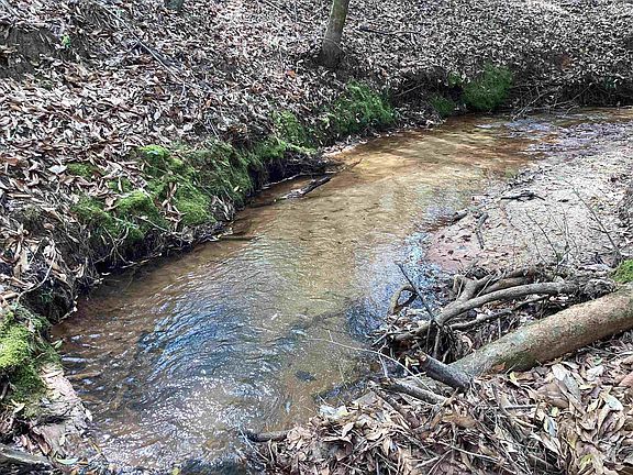 2nd image of 320 County Road 82