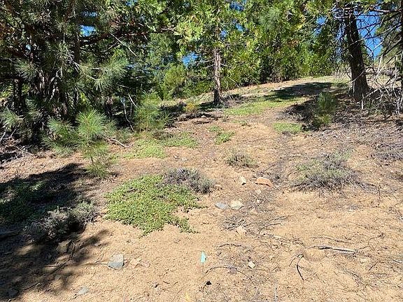 5th image of 7865 E Bitterbrush Rd