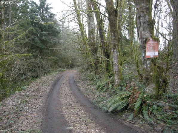 Meissner Rd #1700, Deer Island, OR 97054